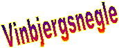 Vinbjergsnegle